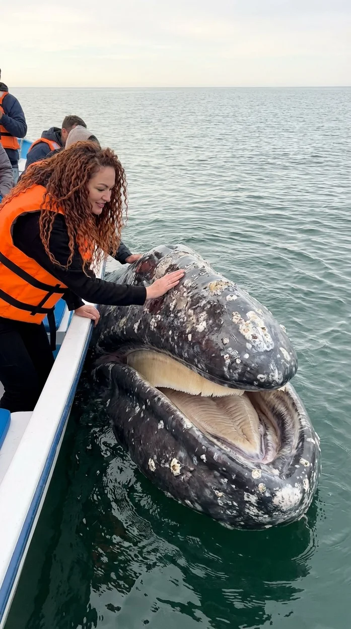 Прикосновение к Вечности